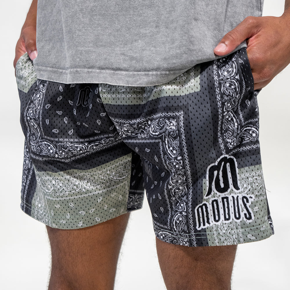 Paisley Mesh Shorts | Modus Merch