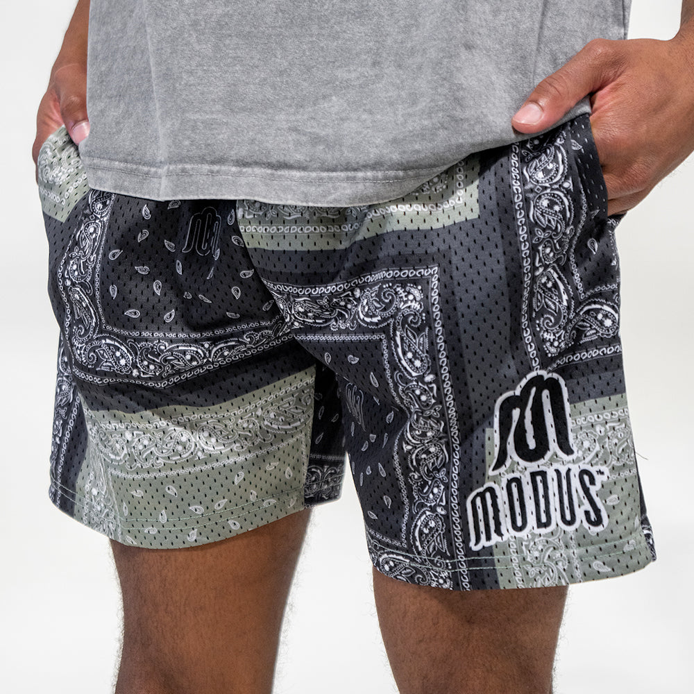 Paisley Mesh Shorts