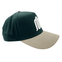 Modus Staple Snapback